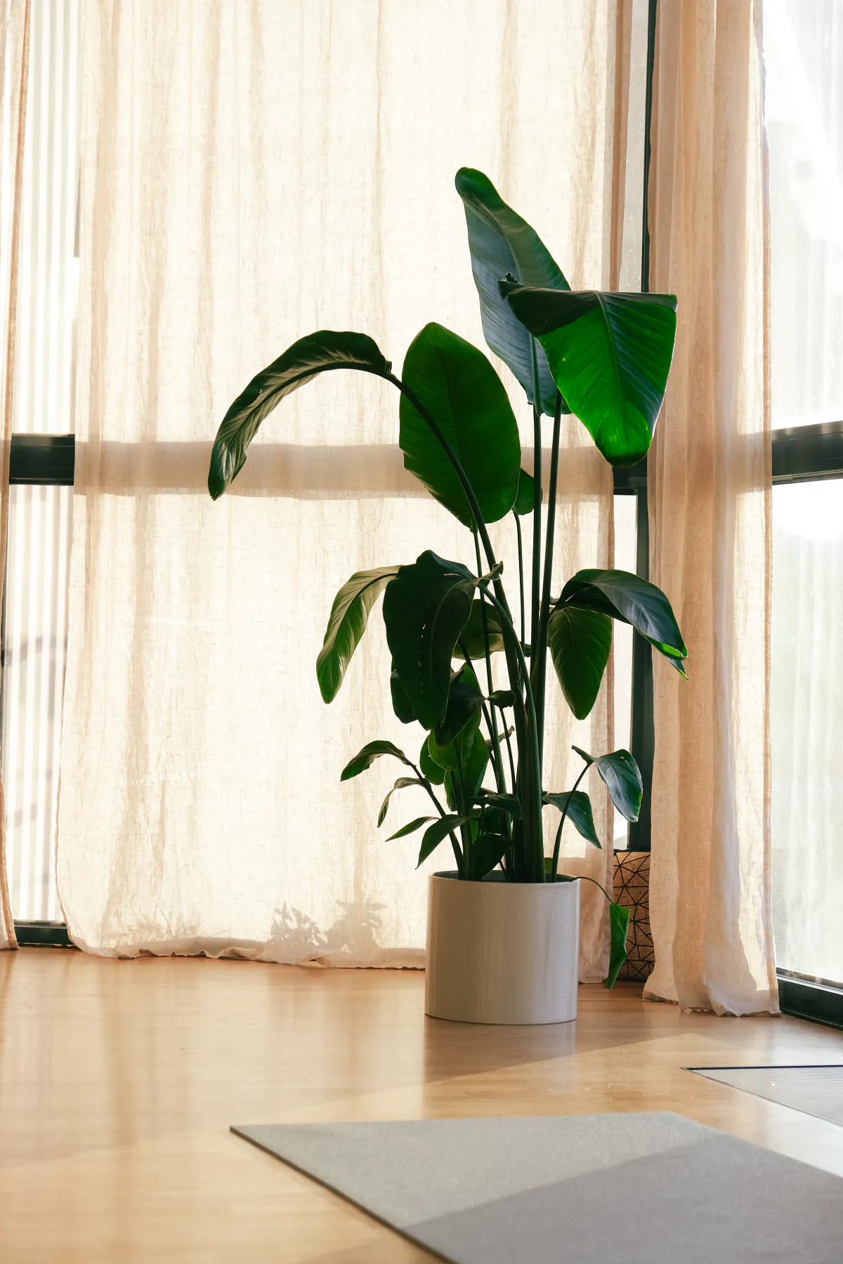 A calm corner of the AURA room