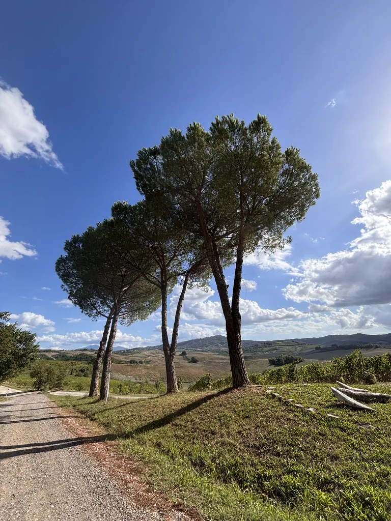 The Tuscan landscape